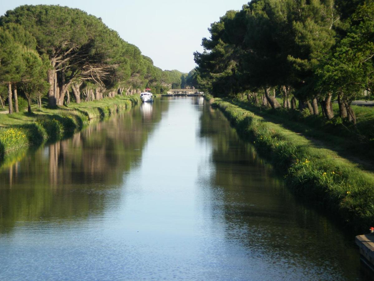Domaine De L'Herbe Sainte Mirepeisset Kültér fotó