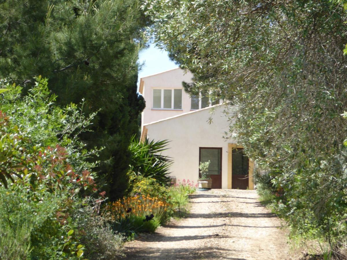 Domaine De L'Herbe Sainte Mirepeisset Kültér fotó