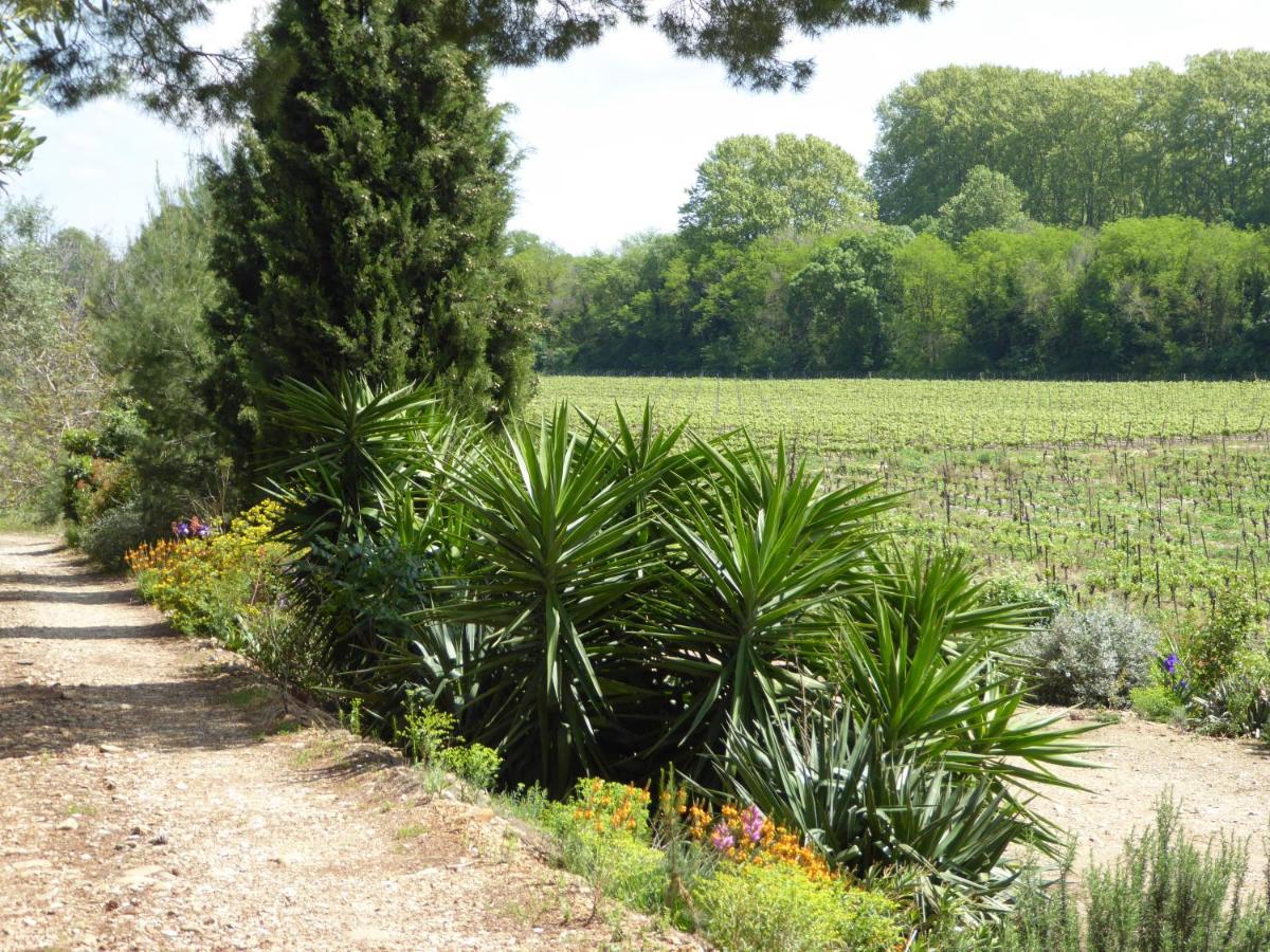 Domaine De L'Herbe Sainte Mirepeisset Kültér fotó