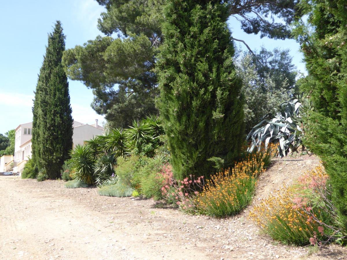 Domaine De L'Herbe Sainte Mirepeisset Kültér fotó