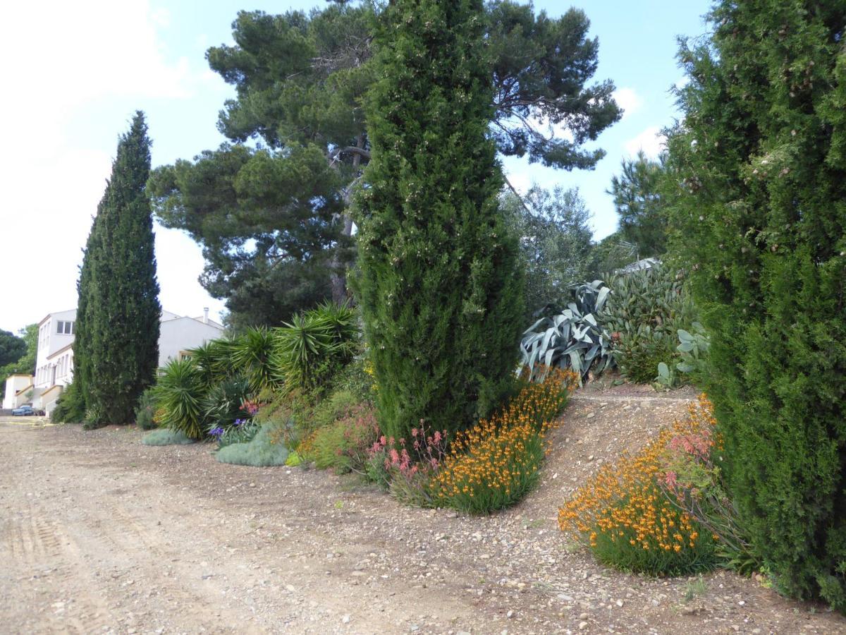 Domaine De L'Herbe Sainte Mirepeisset Kültér fotó