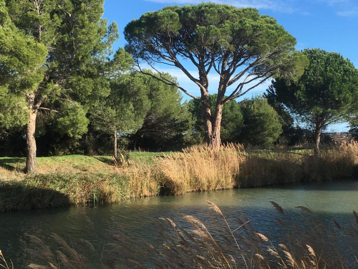 Domaine De L'Herbe Sainte Mirepeisset Kültér fotó