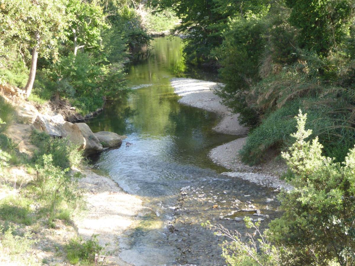 Domaine De L'Herbe Sainte Mirepeisset Kültér fotó