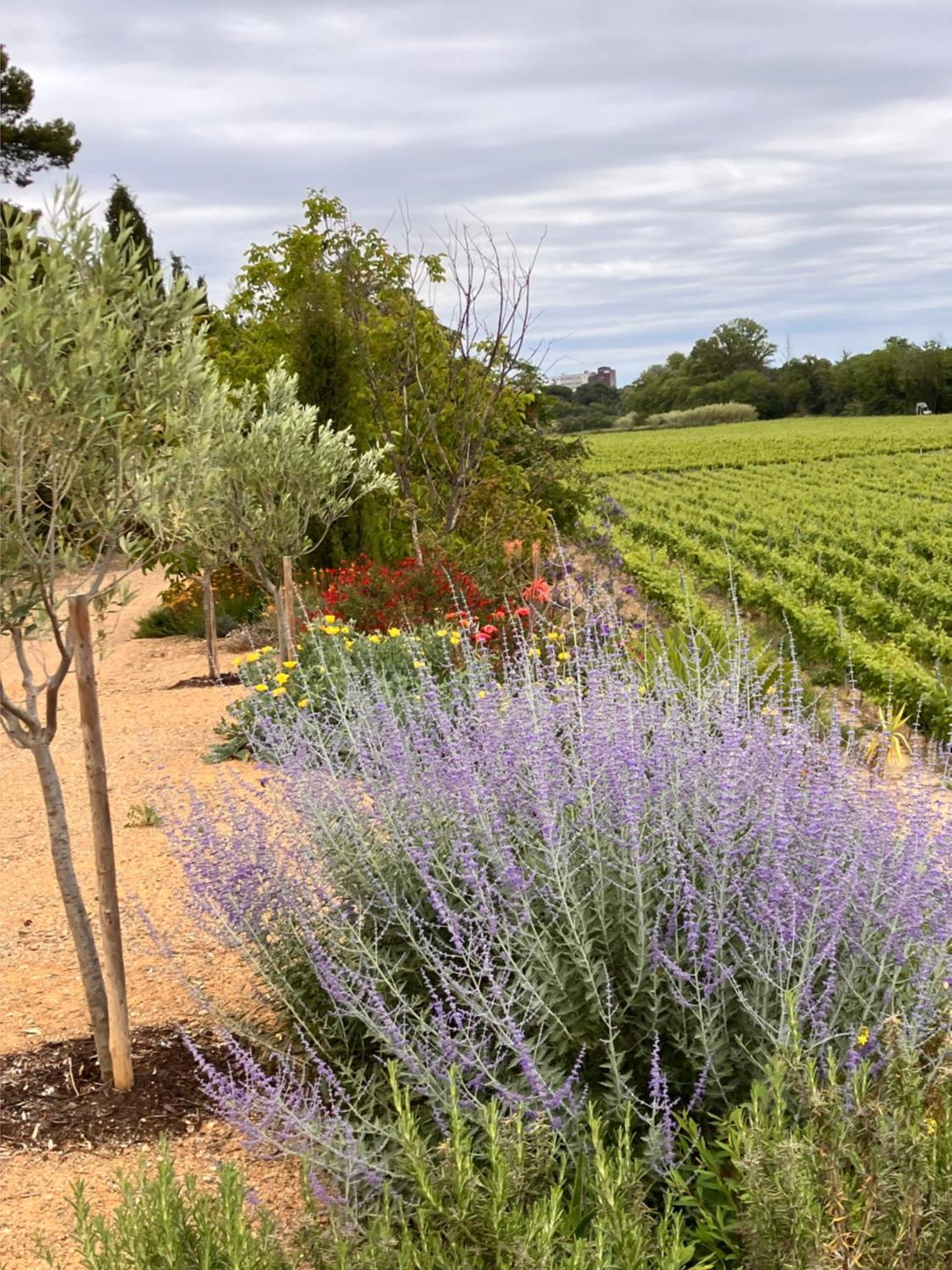 Domaine De L'Herbe Sainte Mirepeisset Kültér fotó