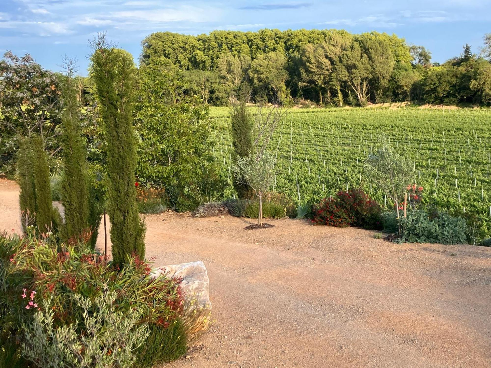 Domaine De L'Herbe Sainte Mirepeisset Kültér fotó