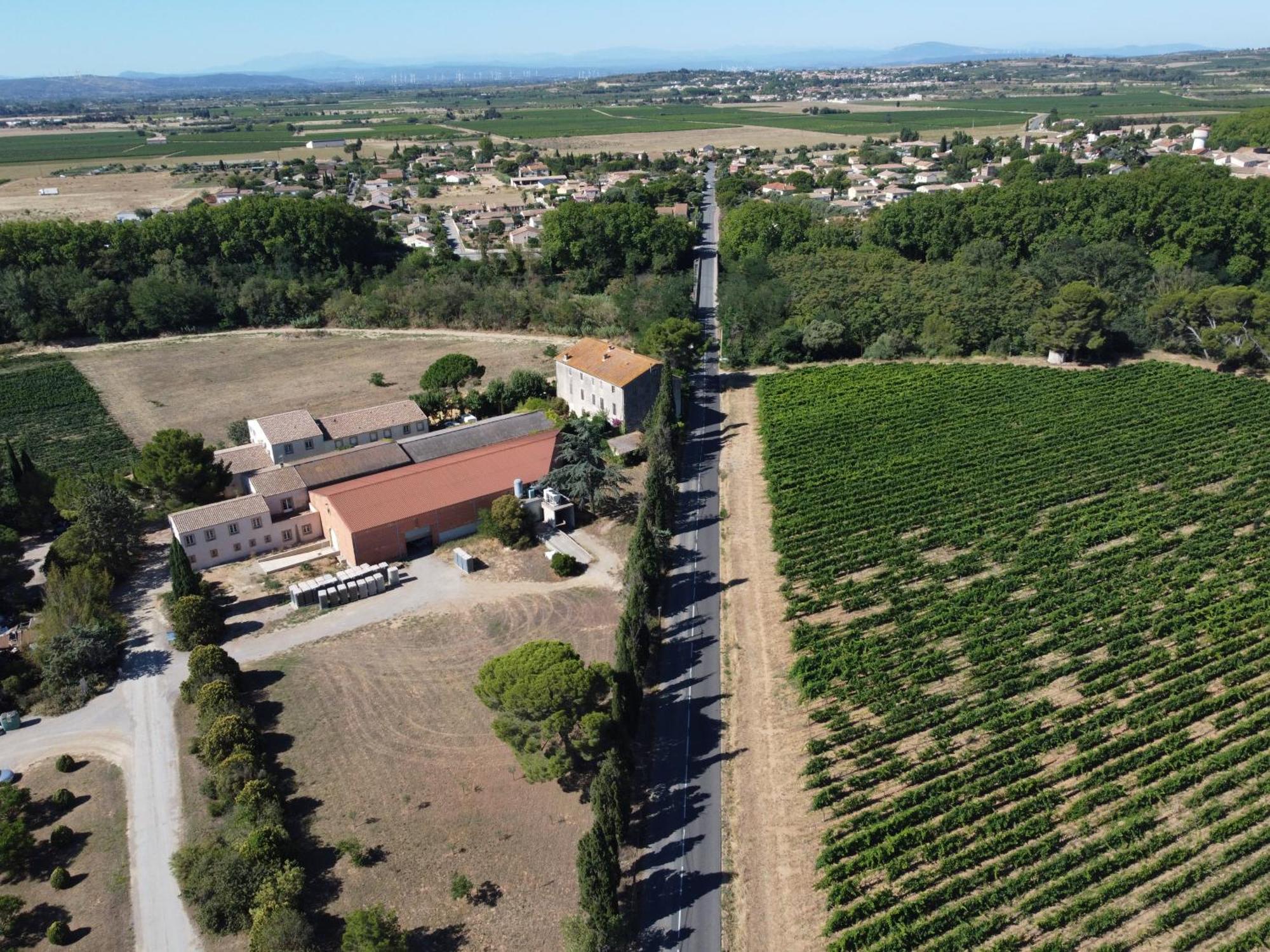 Domaine De L'Herbe Sainte Mirepeisset Kültér fotó
