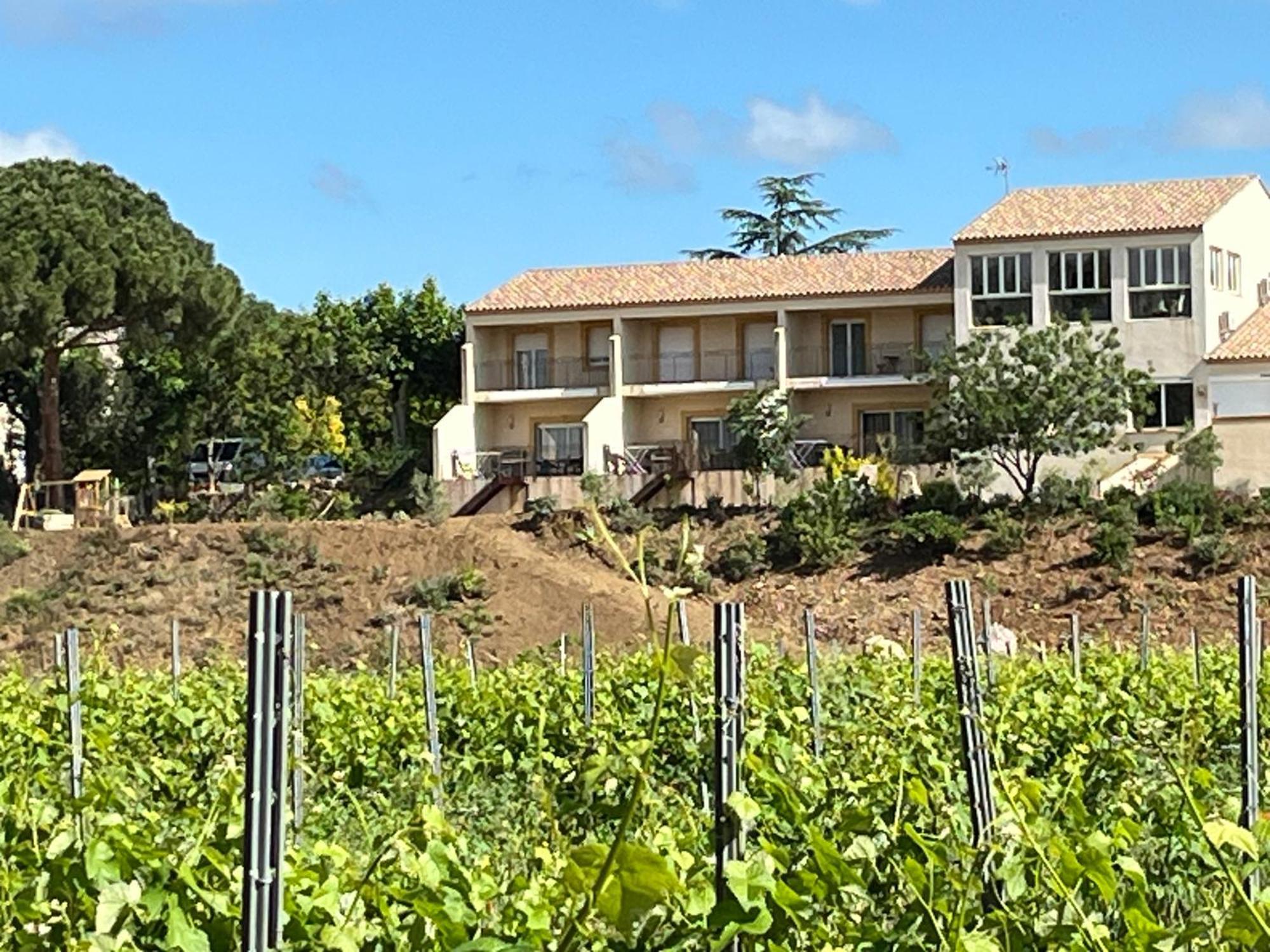 Domaine De L'Herbe Sainte Mirepeisset Kültér fotó